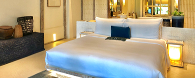 Master Suite Project Goal